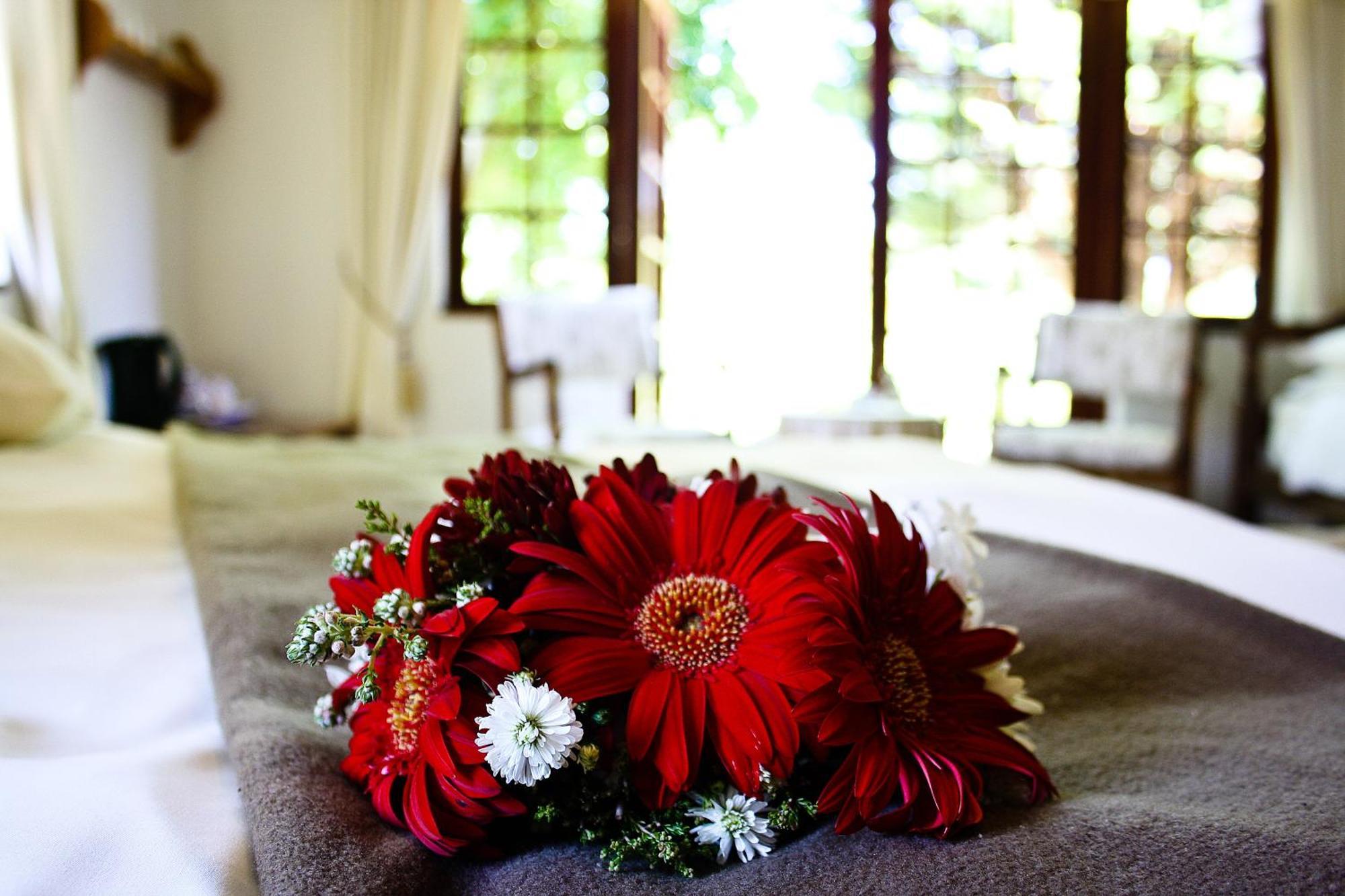 Storms River Guest Lodge Stormsrivier Quarto foto