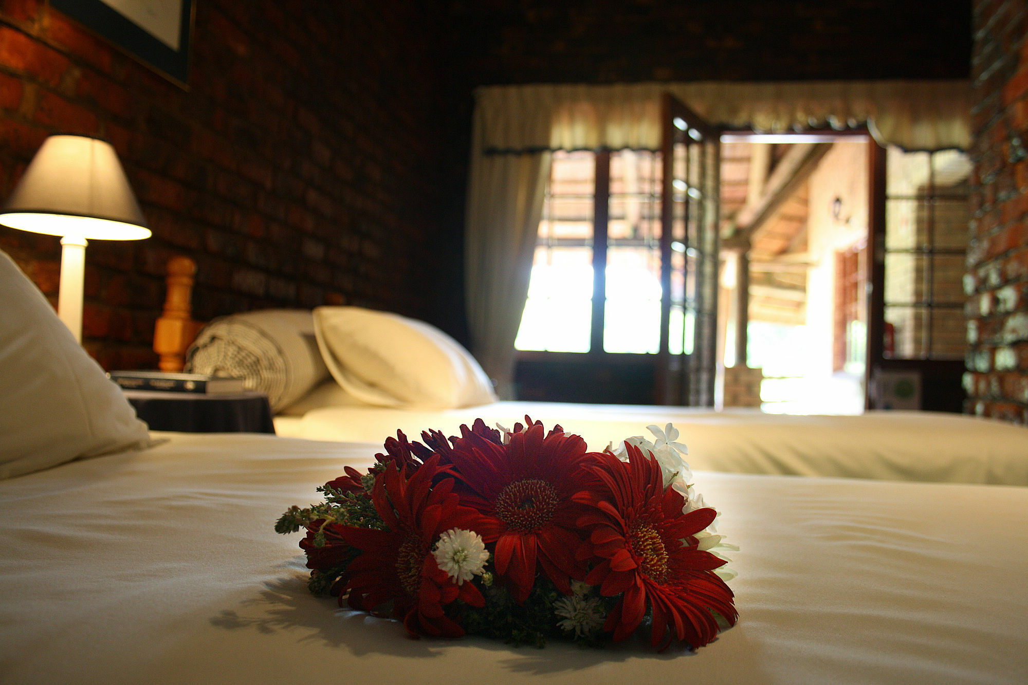 Storms River Guest Lodge Stormsrivier Exterior foto